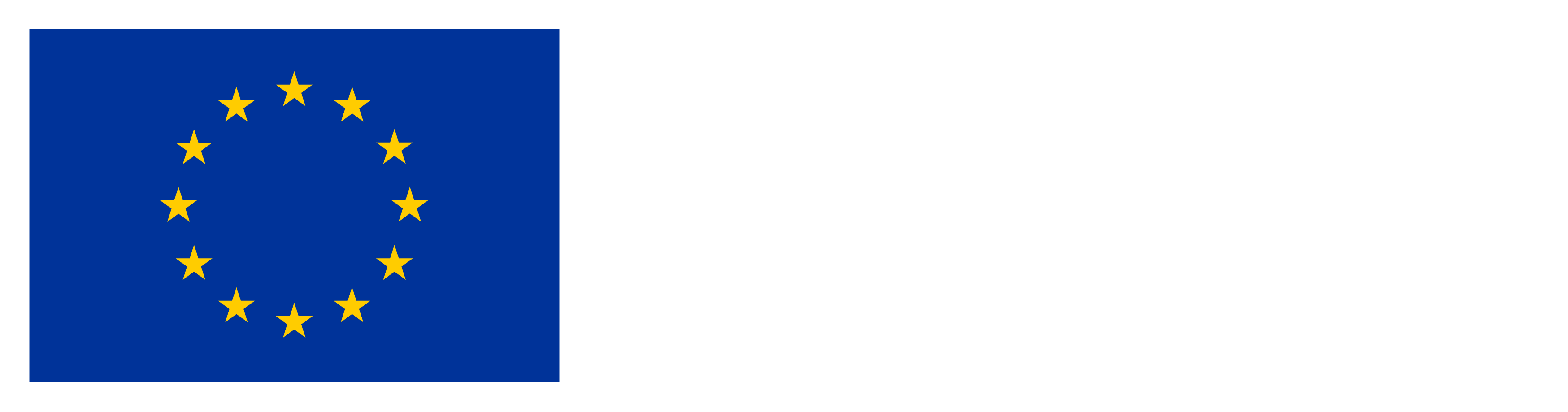 Financira Europska unija
